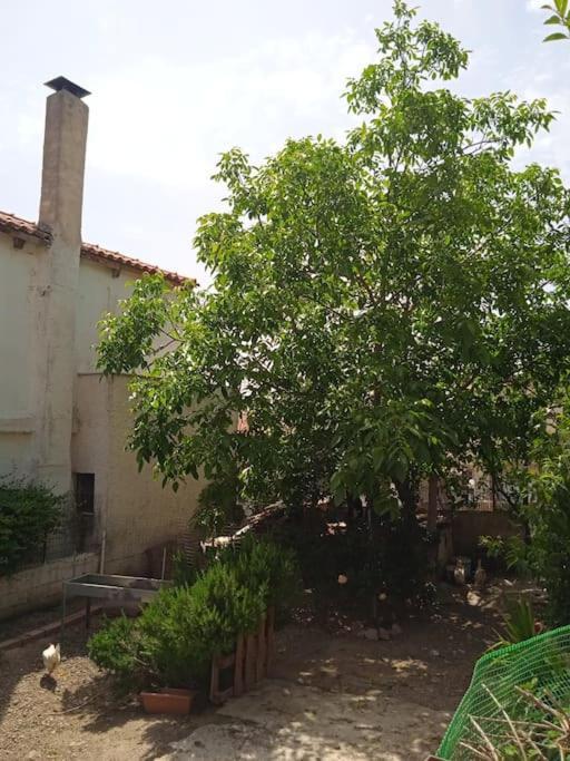 Ferienwohnung Το Μικρό Σπίτι Στη Φάρμα! Acharnes Exterior foto