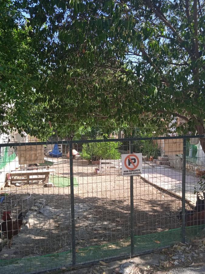 Ferienwohnung Το Μικρό Σπίτι Στη Φάρμα! Acharnes Exterior foto