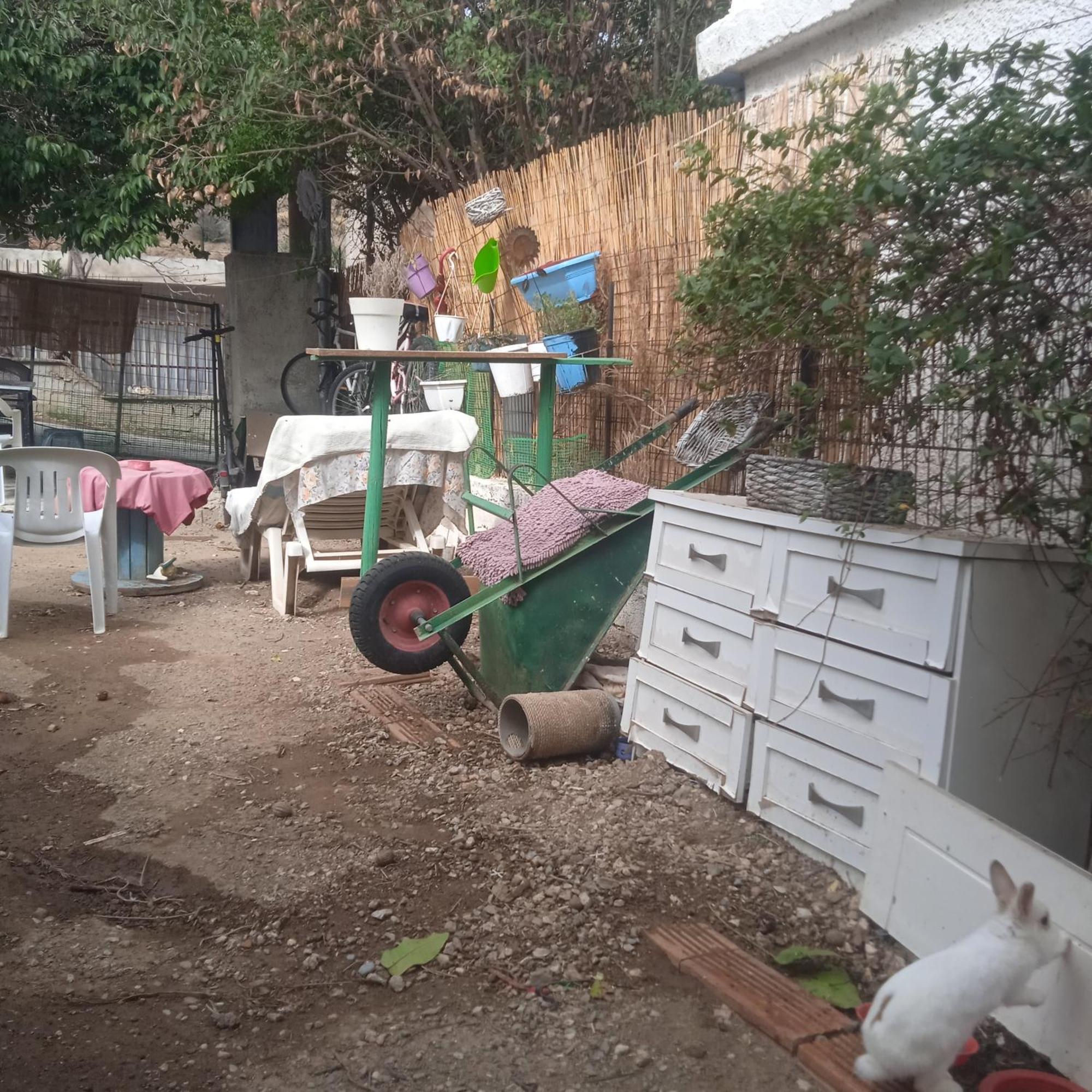 Ferienwohnung Το Μικρό Σπίτι Στη Φάρμα! Acharnes Exterior foto