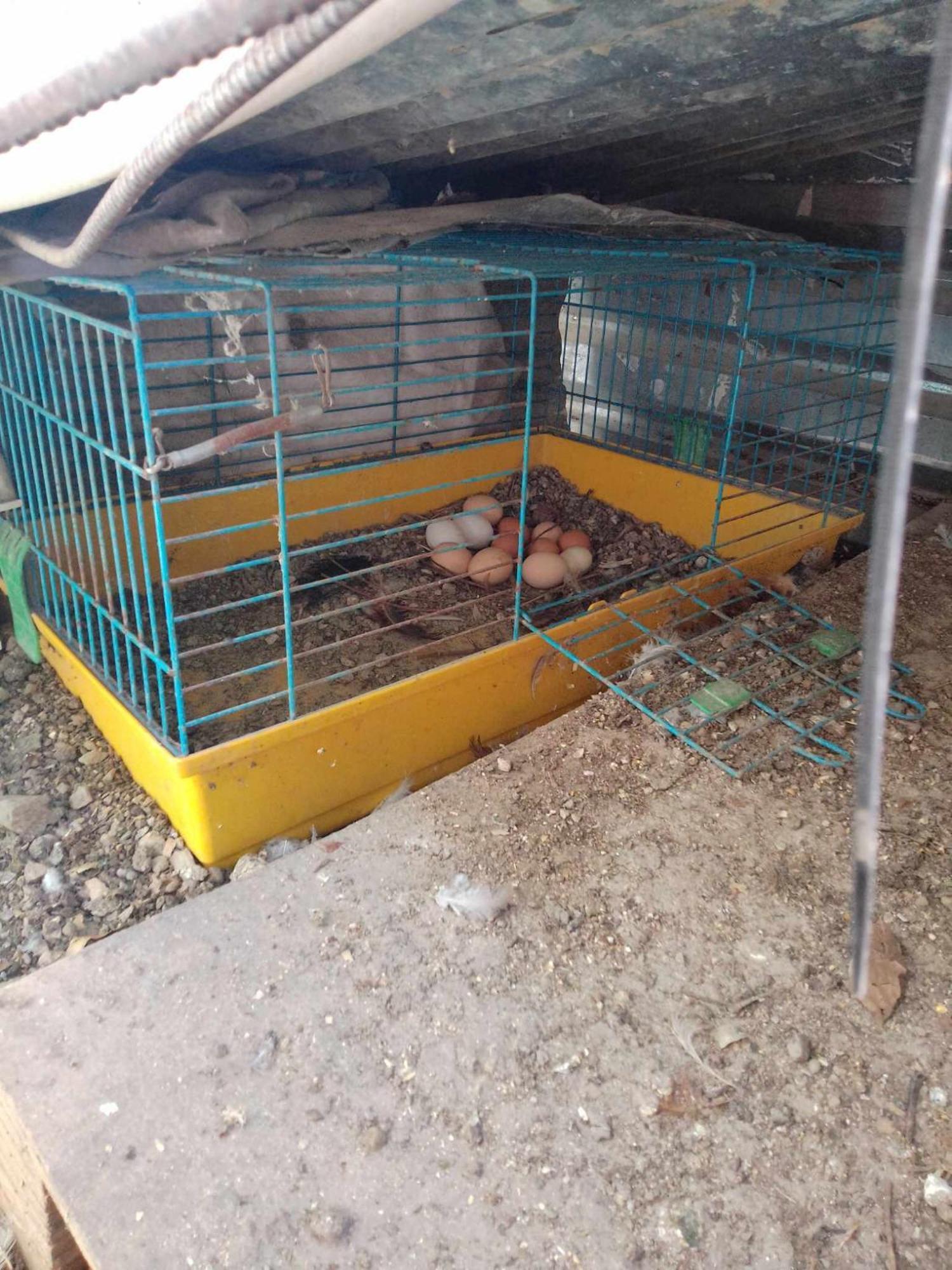 Ferienwohnung Το Μικρό Σπίτι Στη Φάρμα! Acharnes Exterior foto